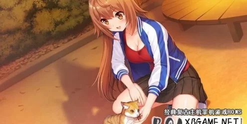 Switch游戏–NS 爱怒流Days系列:偶像岁月 中文版,百度云下载