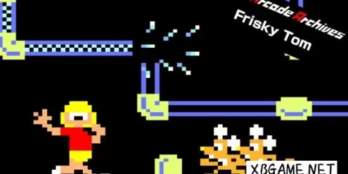Switch游戏–NS 街机档案馆:水管工汤姆 Arcade Archives Frisky Tom,百度云下载