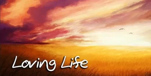 Switch游戏–NS 爱生活（Loving Life）[NSP],百度云下载
