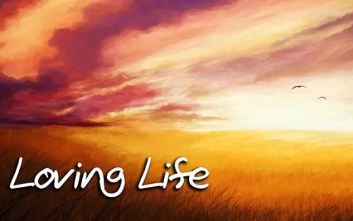 Switch游戏–NS 爱生活（Loving Life）[NSP],百度云下载