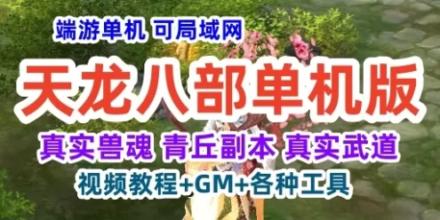 天龙八部单机一键端 可局域网 经典怀旧真实武道副本 教程+GM