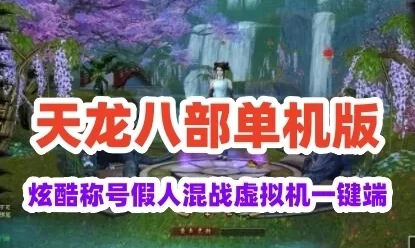网单天下至尊天龙八部单机版 炫酷称号假人混战虚拟机一键端