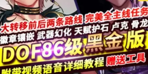 DOF86黑金单机版 11版 女鬼剑5职业魔枪士3职业徽章镶嵌幻化 网游单机