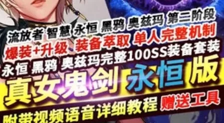 端游第三版永恒DOF单机版一键端 100级真女鬼剑永恒版黑鸦奥兹玛