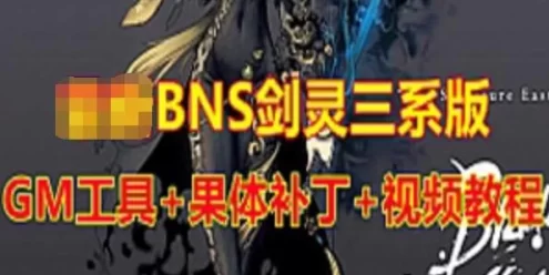 网游单机BNS剑灵三系版单机一键端，带补丁+GM工具