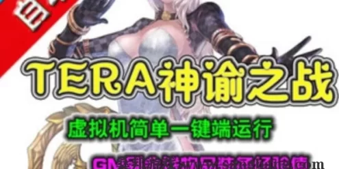 3D网游TERA神谕之战单机版 虚拟机架设 GM刷物品装备金钱经验值