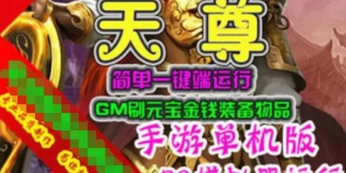 天尊手游单机版 简单一键端 模拟器运行GM刷元宝金钱装备