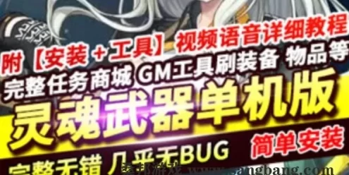网游灵魂武器单机版 100级灵魂武器一键端带GM命令