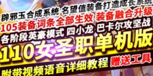 网单女圣职3职业DNF110级网游单机版 全职业柔化辟邪玉英豪模式