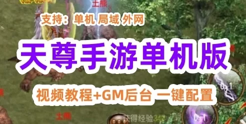 天尊手游单机版一键端 2D角色类手游天尊服务端 GM工具+教程
