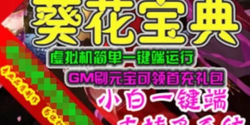 网游单机葵花宝典网页游戏单机版 武侠风虚拟机简单一键端GM刷元宝