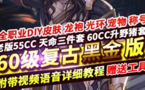 网游单机DOF网游单机版 60复古黑金版 最强泰拉地狱武器新皮肤