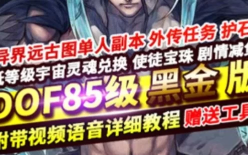 网单DNF单机版 85级仿官黑金版 护石低级传说SS装备优化