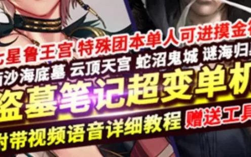 网单DNF网游单机版 100级超变盗墓笔记洪荒无限第八季