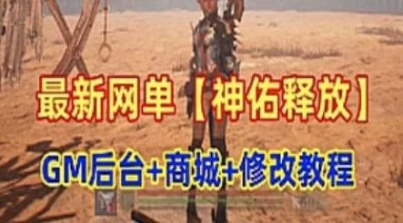 端游神佑释放网游单机版 商城+GM后台+修改架设视频教程