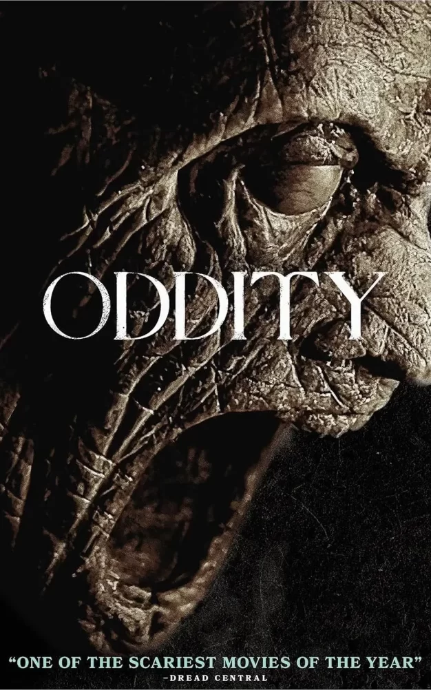 咒物寻凶 WEB-DL版下载/奇人怪事 / 反常 2024 Oddity 10.55G