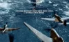 护航 4K蓝光原盘下载/The Arctic Convoy 2023 Konvoi 48.96G