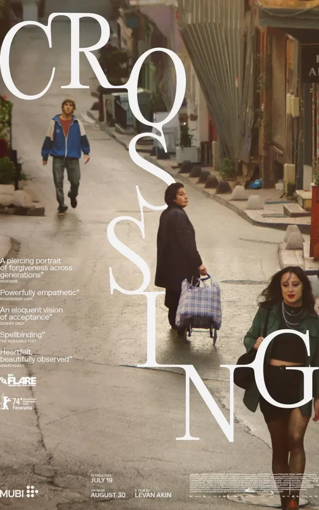 穿行 WEB-DL版下载/Passage 2024 Crossing 4.41G