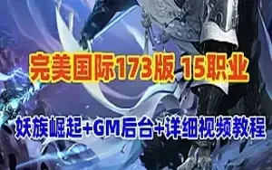 网单 完美国际单机版 173版15职业 有GM工具和教程 网游单机