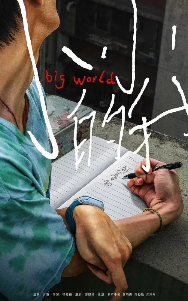 小小的我 WEB-DL版下载/Big World 2024 小小的我 24.23G