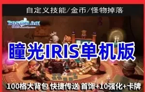 网游单机 瞳光IRIS单机版一键端 瞳光网单游戏 100格大背包GM工具
