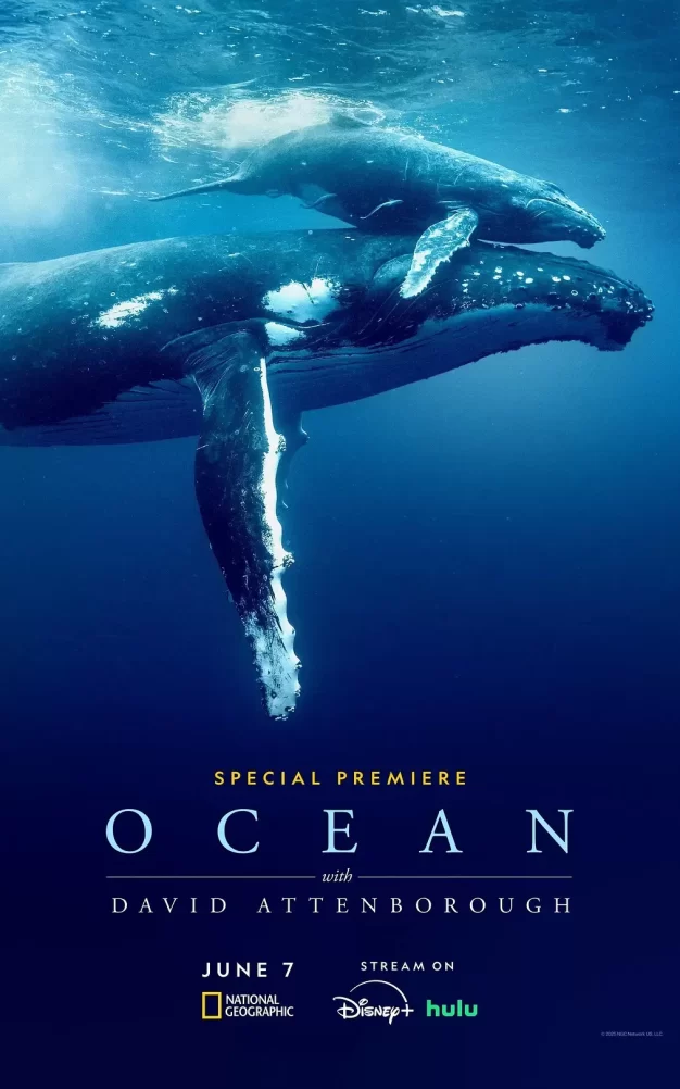 大卫·爱登堡：海洋 WEB-DL版下载/Ocean with David Attenborough 2025 David Attenborough: Ocean 7.87G