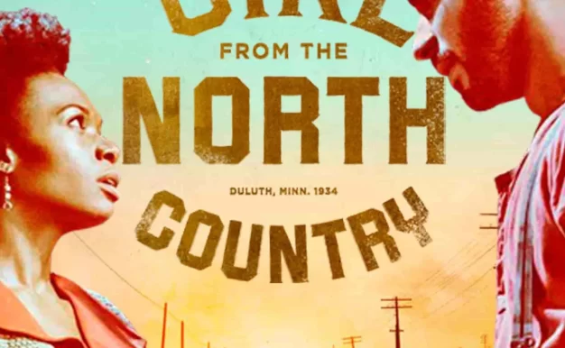 北国女孩 蓝光高清MKV版 2024 Girl From the North Country 19.99G