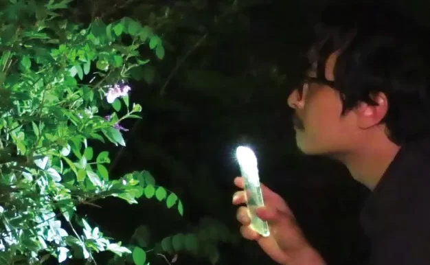 大自然对你说了什么 WEB-DL版下载/自然的诗语(港) / What Does that Nature Say to You 2025 그 자연이 네게 뭐라고 하니 3.05G