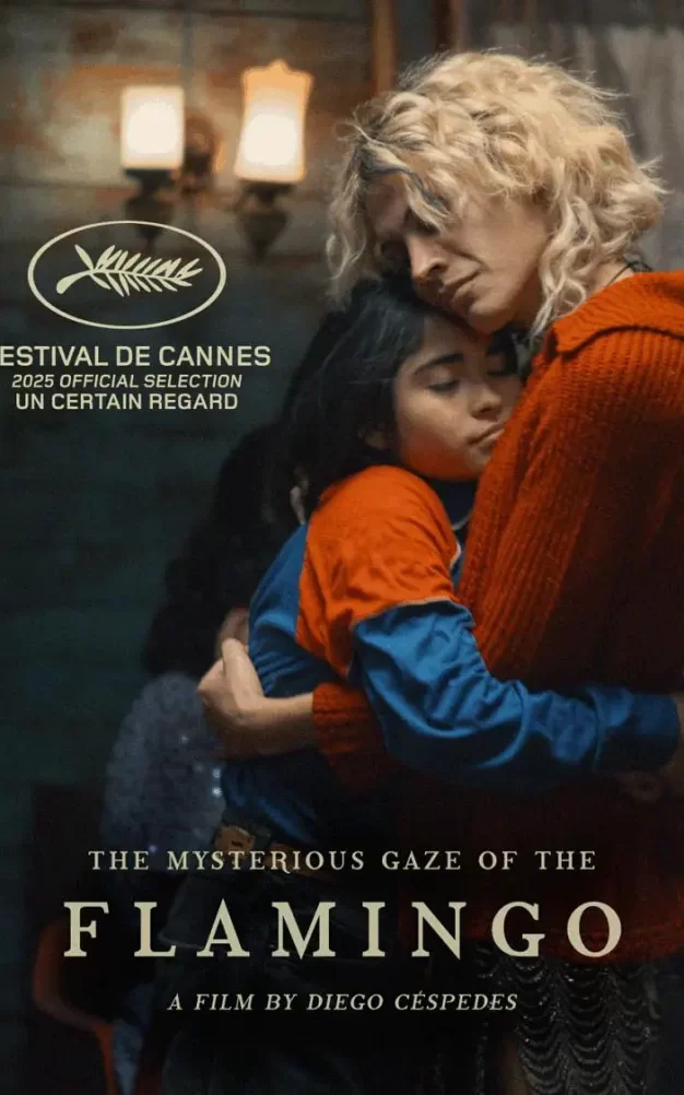 弗拉明戈的神秘眼神 WEB-DL版下载/The Mysterious Gaze of the Flamingo / Le mystérieux regard du flamand rose / 粉红火鹤的神秘凝视(台) 2025 La misteriosa mirada del flamenco 3.72G