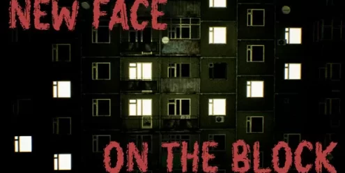 街区新面孔（New Face On The Block）免安装版下载