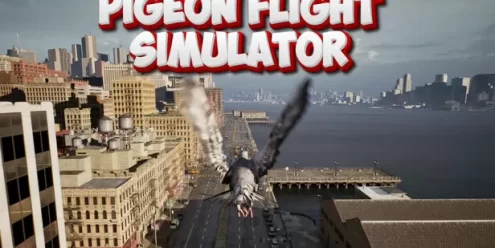 鸽子飞行模拟器（Pigeon Flight Simulator）免安装版下载