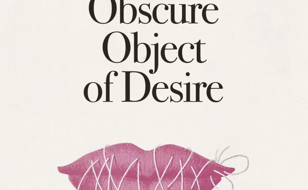 朦胧的欲望 蓝光原盘下载/欲望的隐晦目的 / That Obscure Object of Desire 1977 Cet obscur objet du désir 40.63G