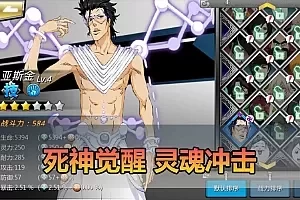 【死神觉醒之灵魂冲击单机版】最新整理横版格斗手游多区跨服单机 带GM后台 虚拟机一键端 视频安装教学 支持自配家庭局域网手机连接
