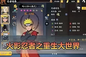 【火影忍者之重生大世界单机版】最新整理卡牌回合制带GM物品充值后台 虚拟机一键端 视频安装教学 支持自配家庭局域网手机连接